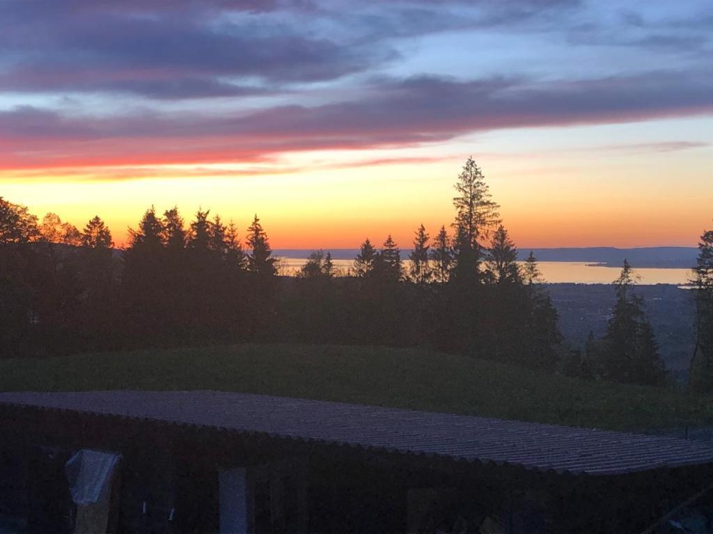 Appartement Schwarzenberg Hohenems Buitenkant foto
